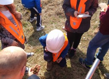 30118563_1926241254354668_386616967_n