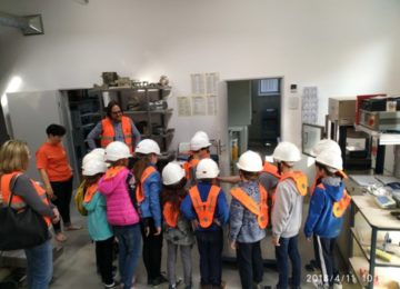 30120335_1926240964354697_195250184_n