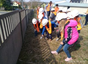 30421930_1926241267688000_767007352_n