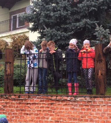 22281678_138580143428795_182103399641964874_n (2)