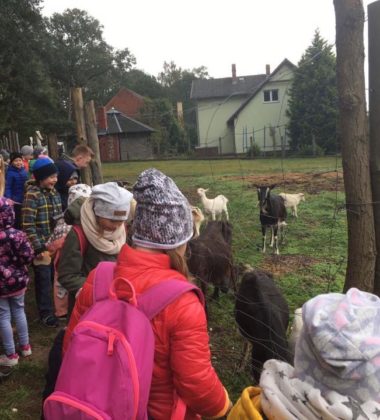 22308886_138580413428768_2485459084737962005_n (2)