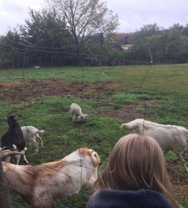 22308984_138580396762103_7667855540753177187_n (2)