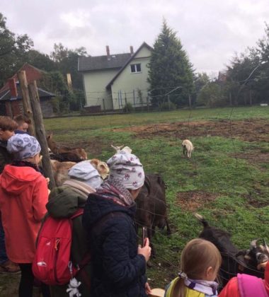 22310130_138580400095436_8394077629042290831_n (2)