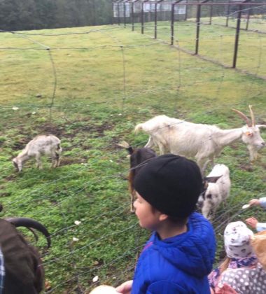 22310460_138580320095444_5795279403608577029_n (2)