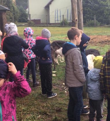 22310511_138580310095445_5569781567121648344_n (2)