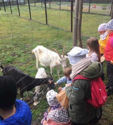 22365220_138580386762104_8465423068938838586_n (2)