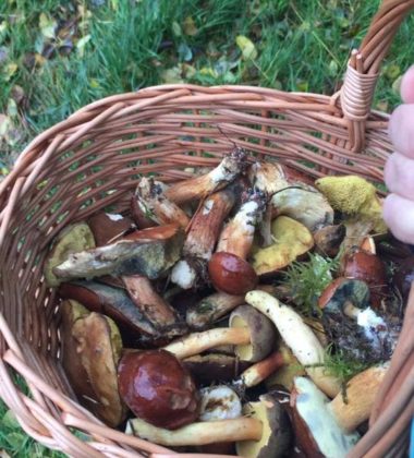 22365459_138610346759108_5211381475069754934_n (2)