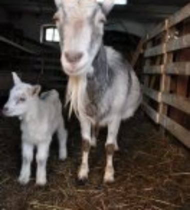 ae98a441505cad5acc581aa57835073c