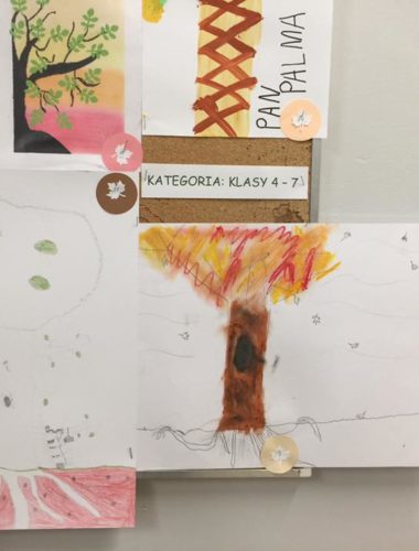 43408191_271961176757357_1395522165385723904_n