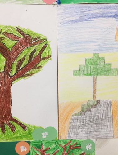 43417527_271961063424035_2958923469816856576_n