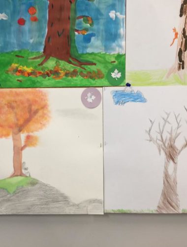 43425630_271961166757358_6128087255220224000_n