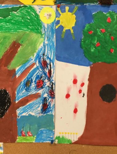 43431483_271960280090780_1950871804809576448_n