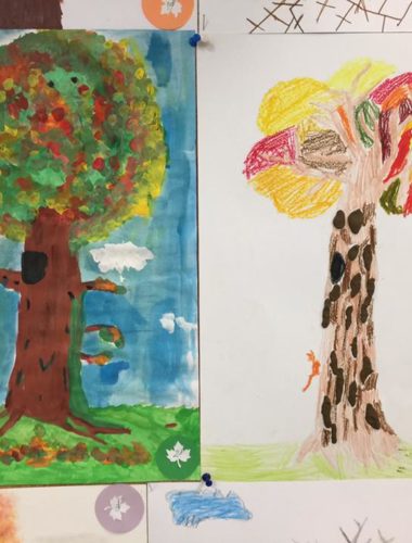 43441006_271961183424023_6031560394978361344_n