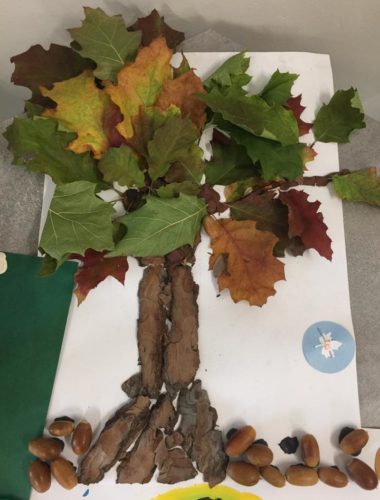 43554482_271960416757433_1985112774446940160_n