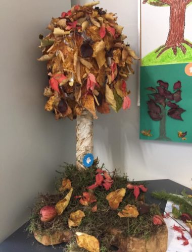 43554535_271959783424163_8547567161986514944_n