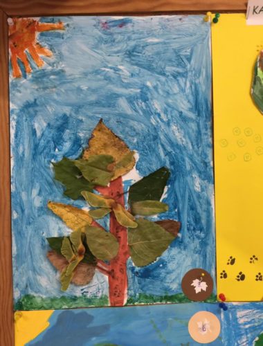 43581266_271961306757344_1883130107443281920_n