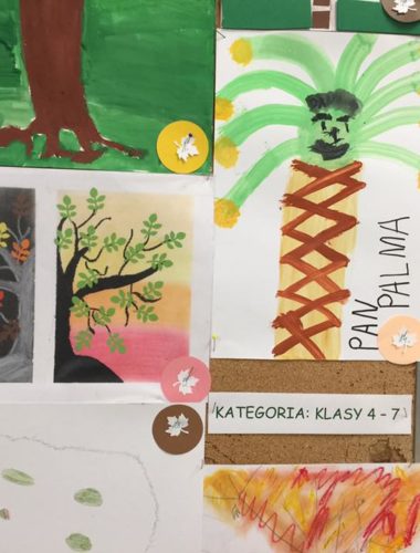 43585266_271961266757348_7985245295992635392_n