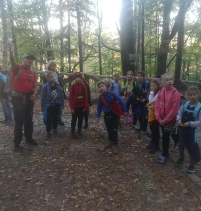 43741586_272840493336092_7000158146807201792_n