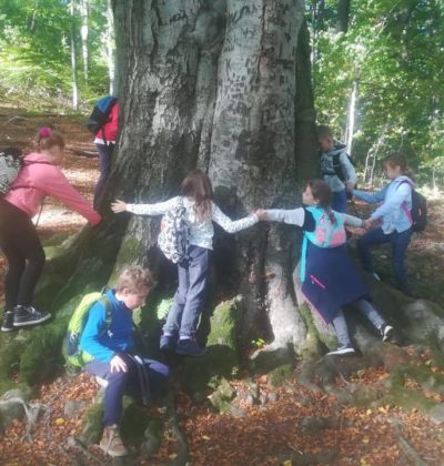 43751542_272840570002751_8872727767188242432_n