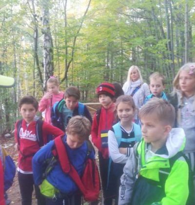 43877988_272840390002769_6001398665019654144_n