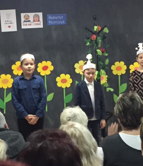 51112784_317321758887965_3552217470263623680_n