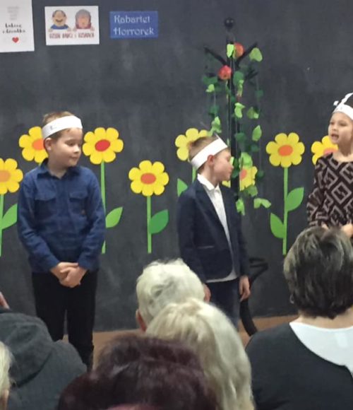 51143417_317321742221300_1452373273093341184_n