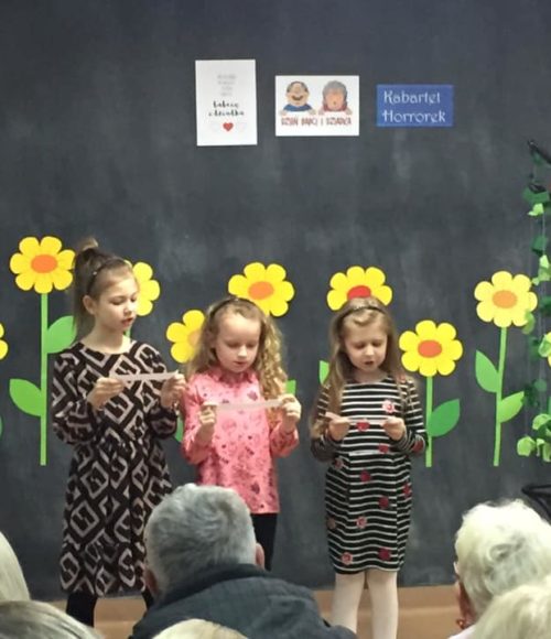 51734002_317321408888000_5468271804860596224_n