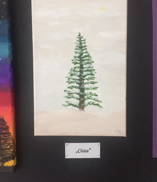 52803618_324997298120411_6215544437318090752_n