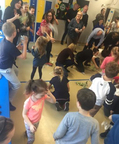 56161491_341091143177693_2743766430288707584_n