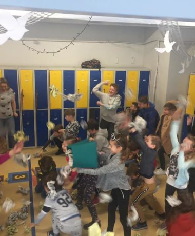 56476835_341090373177770_1587382254328348672_n