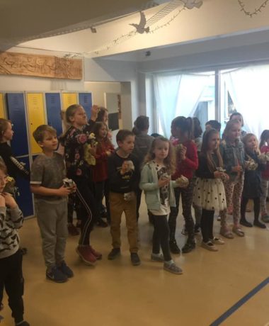 56938299_341090203177787_6152140111459909632_n