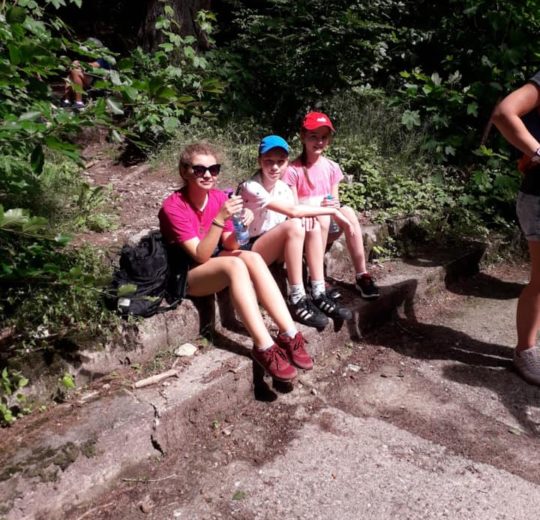 62237577_371548413465299_7482945512061009920_n