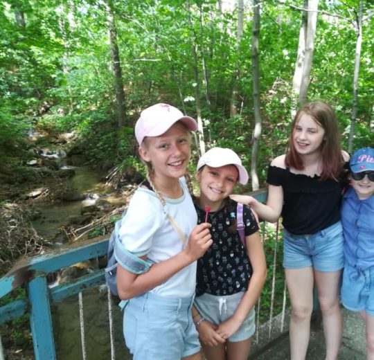 62239320_371547966798677_1582054136944263168_n