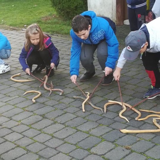 72654568_440964909856982_9089933265598414848_n