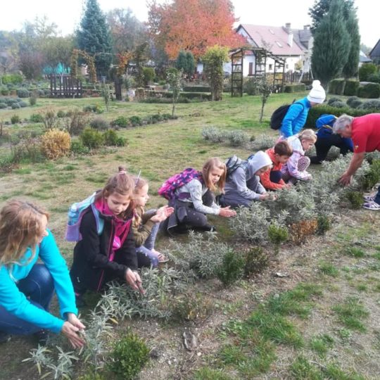 72682566_440964493190357_8486919749865832448_n