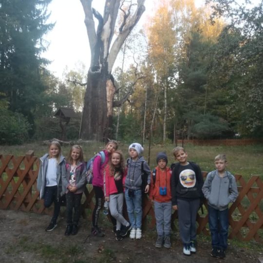 72871862_440964886523651_3714472362519822336_n