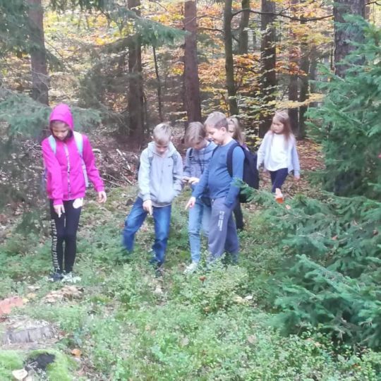 73078921_440965289856944_5622891160092540928_n