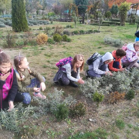 73083642_440965483190258_4575063747122429952_n