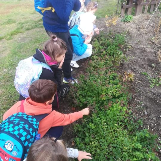 73309393_440965539856919_156321042749456384_n