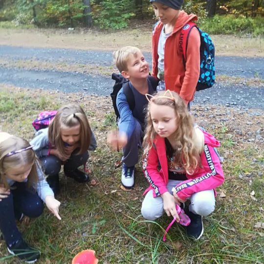 73370545_440964953190311_7627377243521548288_n