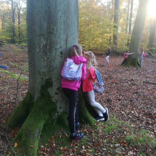 73372229_440965263190280_7768132964013047808_n