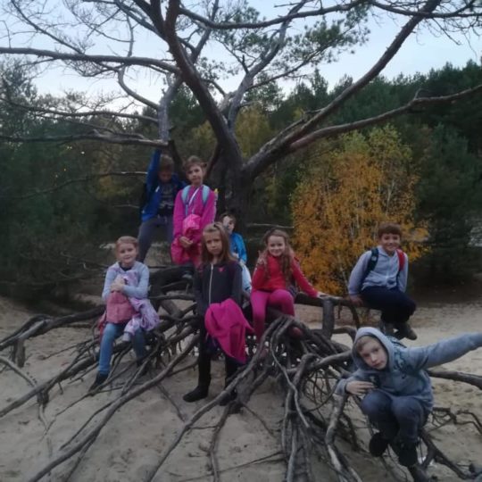 73420352_440964499857023_5920602195513835520_n