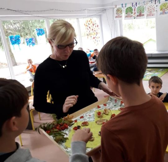 73495118_438745986745541_6680815946686267392_n