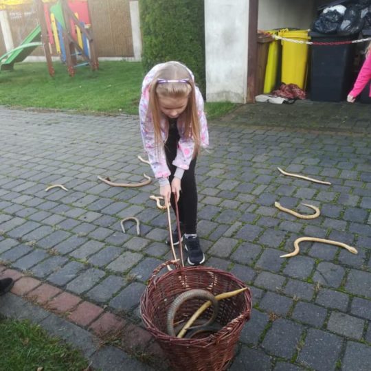 74517399_440965456523594_3725808628049903616_n