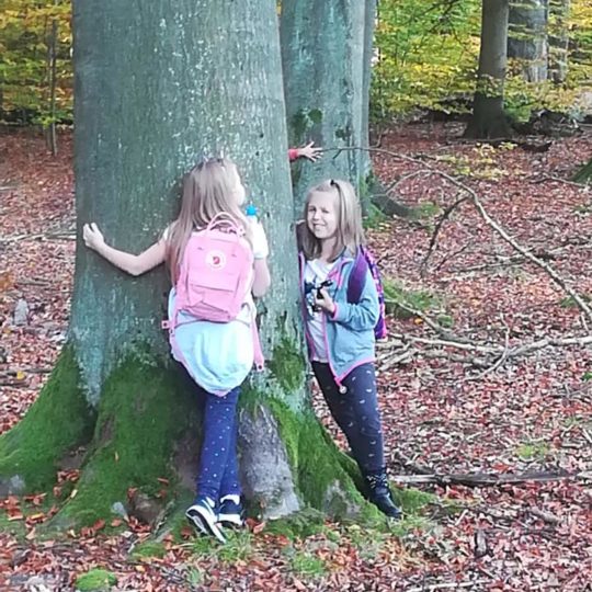 75576449_440964956523644_4293615863065477120_n