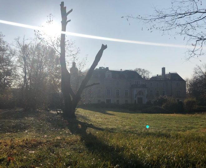 73304569_534597917123621_994038874642579456_n