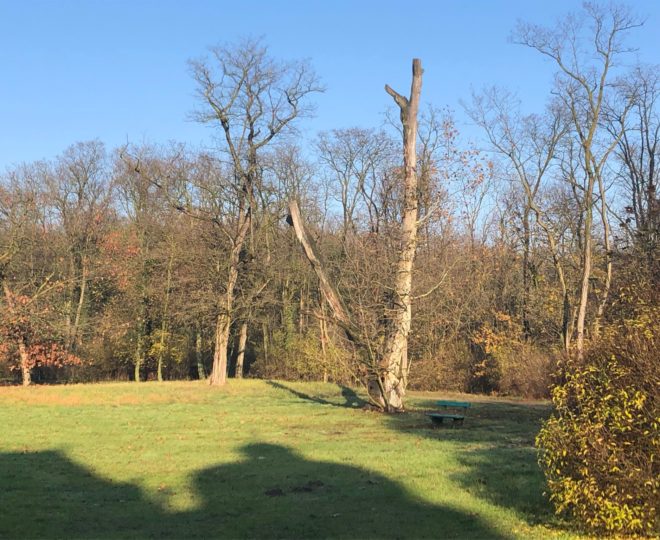 73504748_1189812371214989_8747433619724697600_n