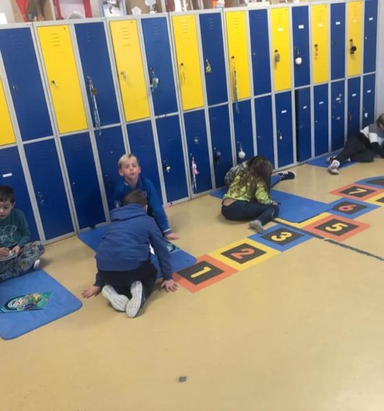 80062699_482335482386591_6985021324846432256_n