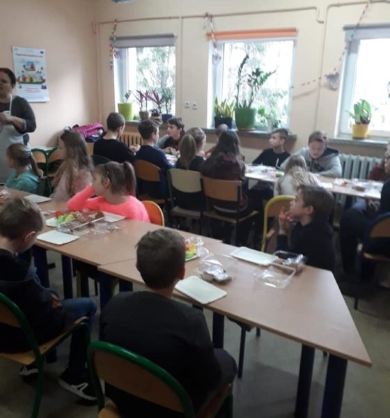 80429003_481001195853353_6522432675389636608_n