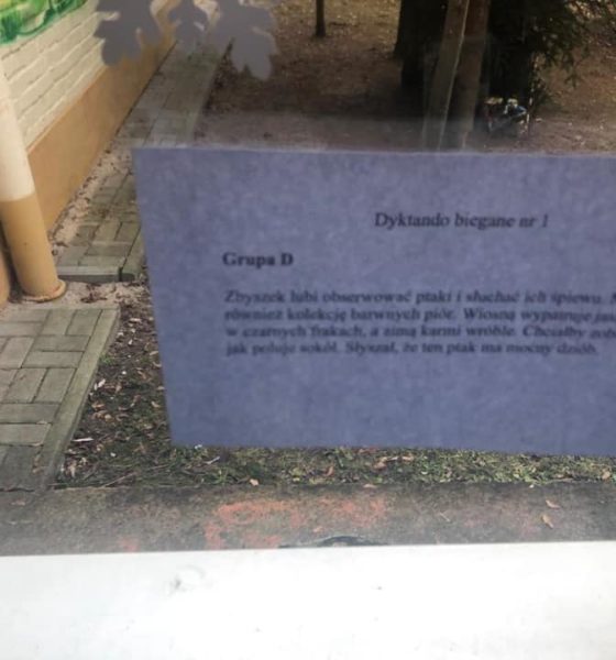 80434660_482335752386564_5745047516118777856_n